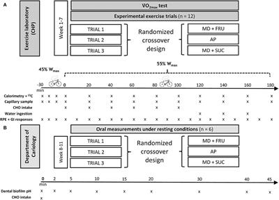 A Hydrogel Drink With High Fructose Content Generates Higher Exogenous Carbohydrate Oxidation and a Reduced Drop in Dental Biofilm pH Compared to Two Other, Commercially Available, Carbohydrate Sports Drinks